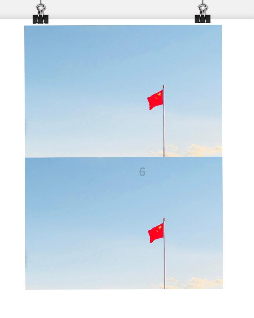 哪些树上的木耳不能吃